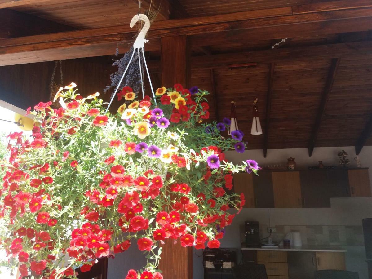 Casa Mura 3* Două Mai